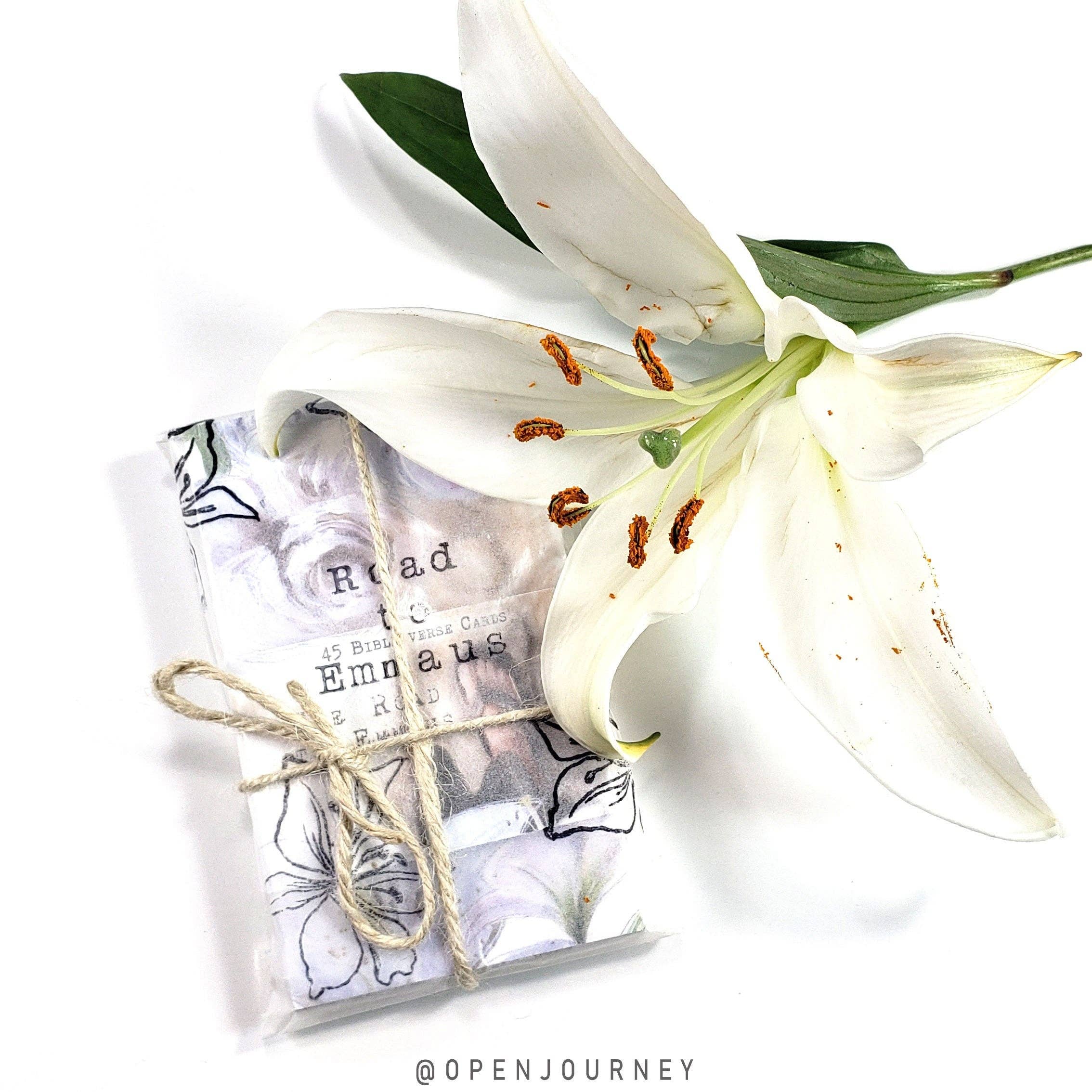 Open Journey - Wholesale Religious Card - The Road to Emmaus - set of 45 Bible Journaling Cards with Bible verses and art9