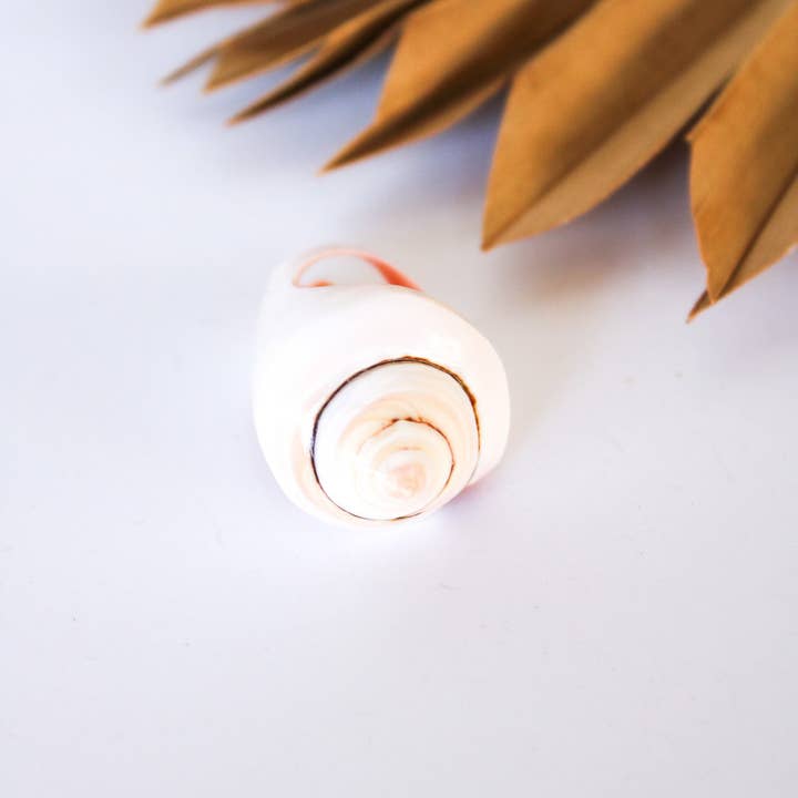 Bali Queen - Wholesale Cocktail/Statement Ring - Bali Shell Rings7