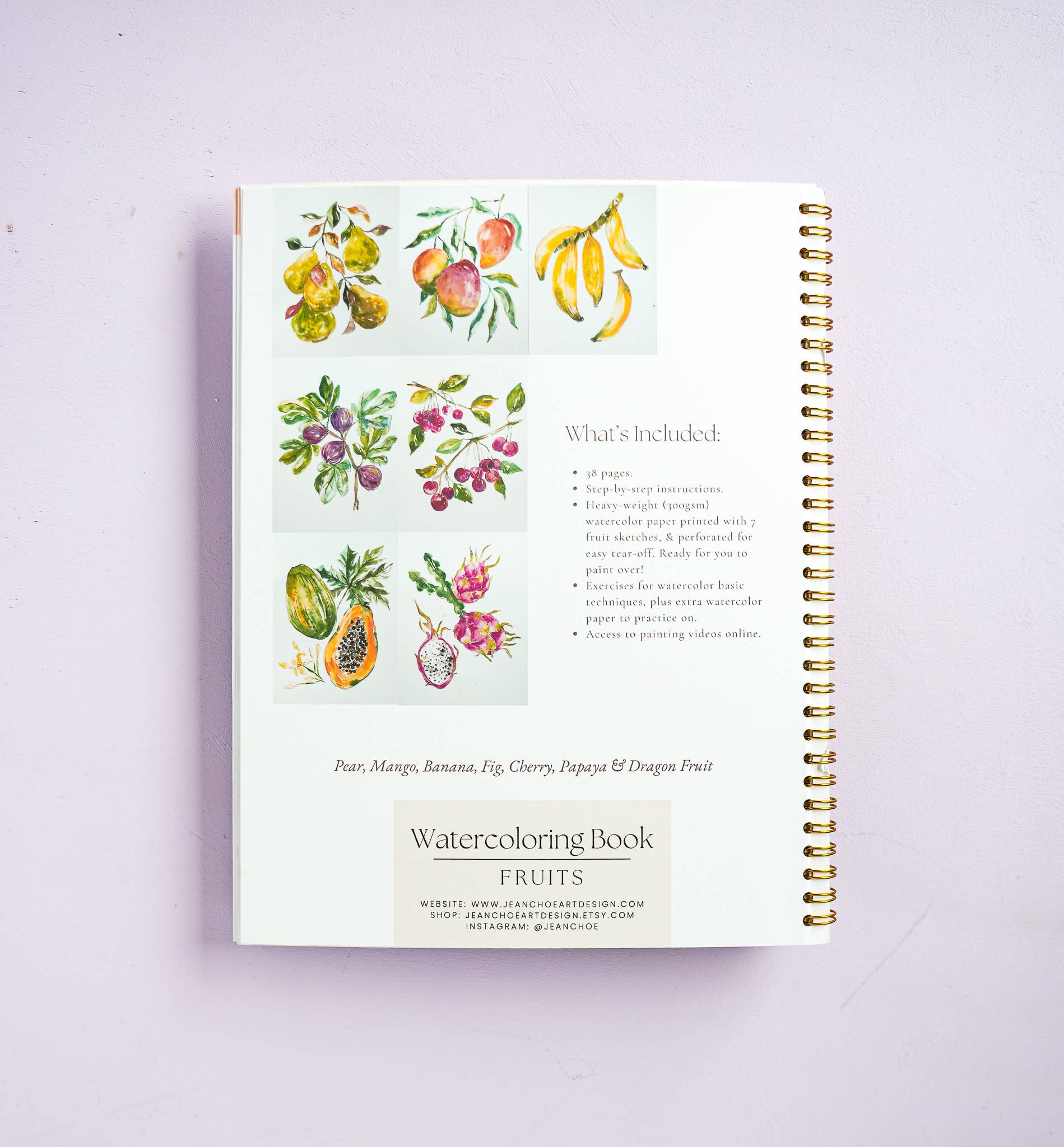 Jean Choe Art & Design - Wholesale Sketchbook/Sketchpad - Fruit Watercolor Workbook: Outlined Coloring Pages to Paint2