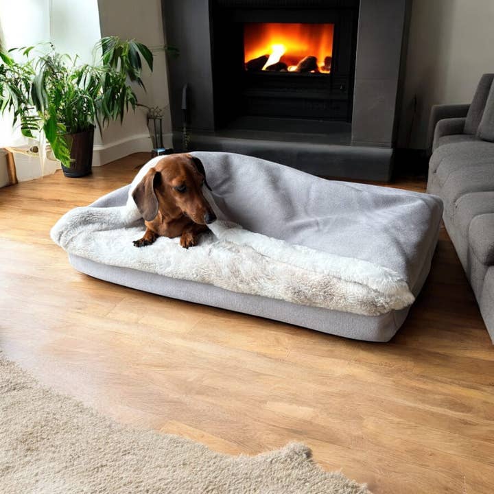 Begränsad upplaga - Nuggle, lila, storlek S för wholesale av I-Dogs