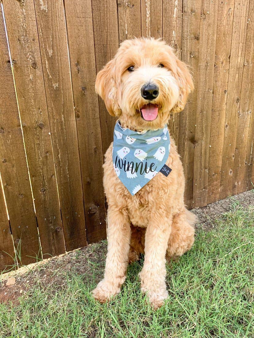 Tails Up, Pup - Wholesale Pet Bandana - Dog - Ghost Dog Bandana - Halloween Dog Bandana2