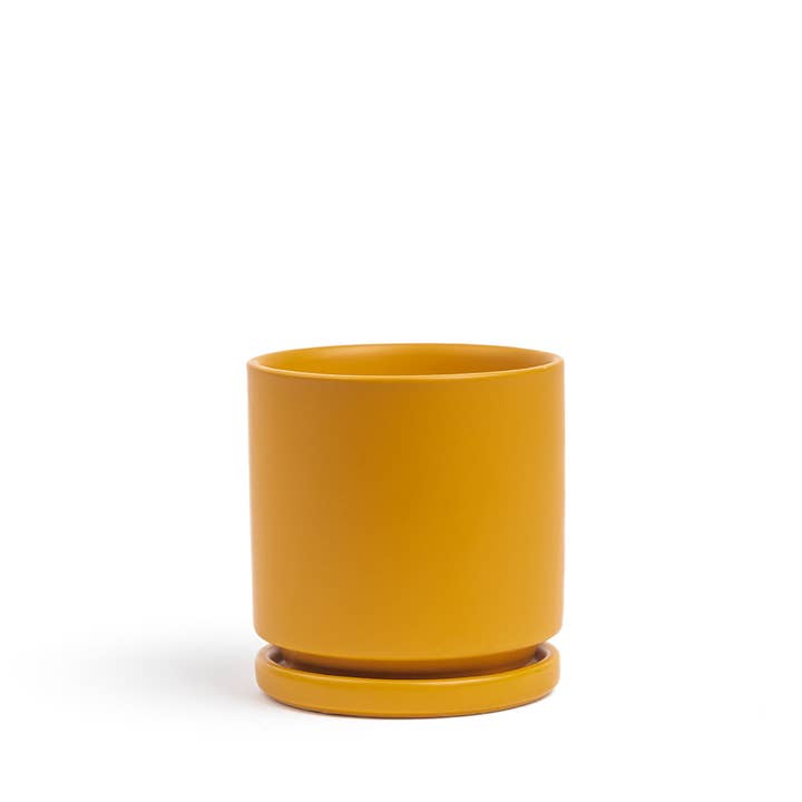 Momma Pots - Wholesale Plant Pot - 10.5" Gemstone Cylinder Pots with Water Saucers5