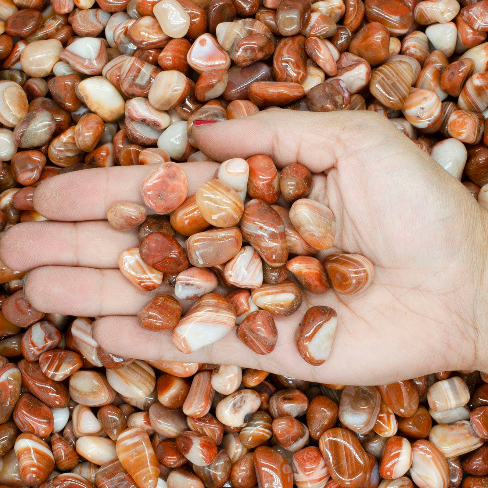 Fantasia Mining - Wholesale Spiritual Stone/Crystal - Tumbled Sardonyx Agate - 0.5" to 0.75" - Size 5 (1lb)3