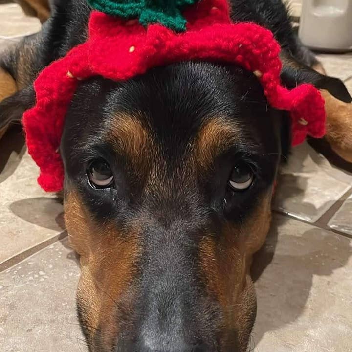 Glitter Ghost Clothing and Accessories – Engroshandel Hundehat - Hund – Hæklet Jordbærhue - Kattehjelm - Pet Hat14