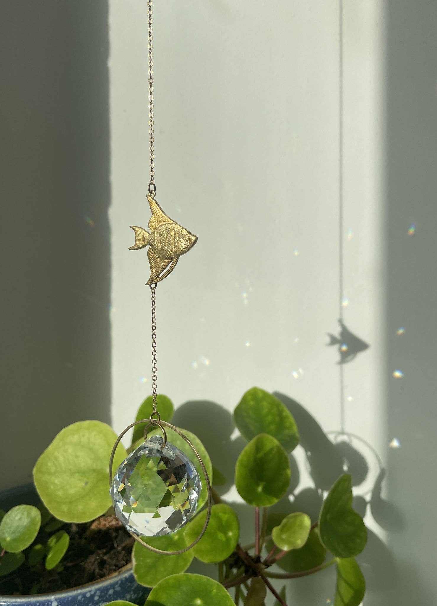 von Lani = Jewellry + Suncatchers - Vente Attrape-soleil - Suncatcher poisson/cristal prisme pour fenêtre / capteur de lumière1