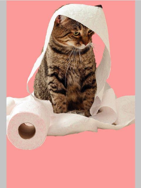 Birthday Humorous | AGRP | SM | 6969007 for wholesale by DICKENS INC.