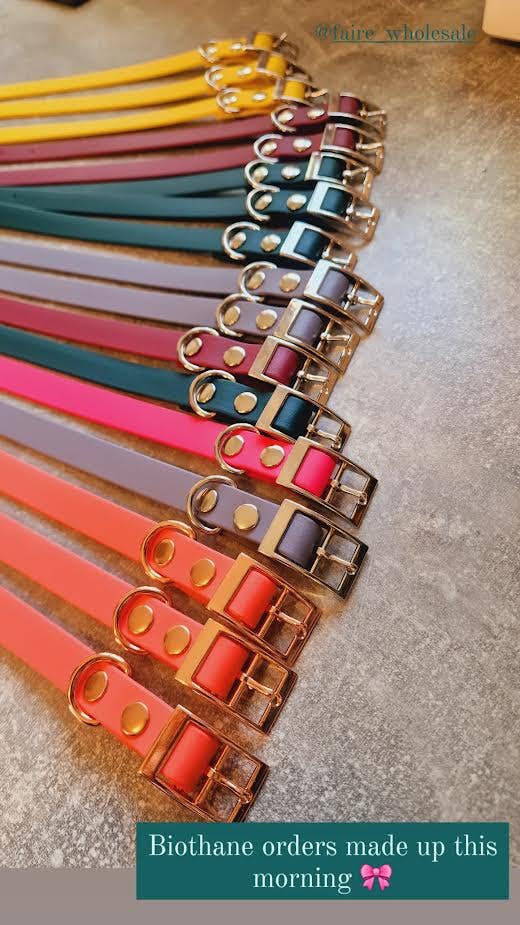 Pet Pooch Boutique - Vente Collier – chien - Collier pour chien en biothane bleu bébé - Accessoires en métal - Fait main3