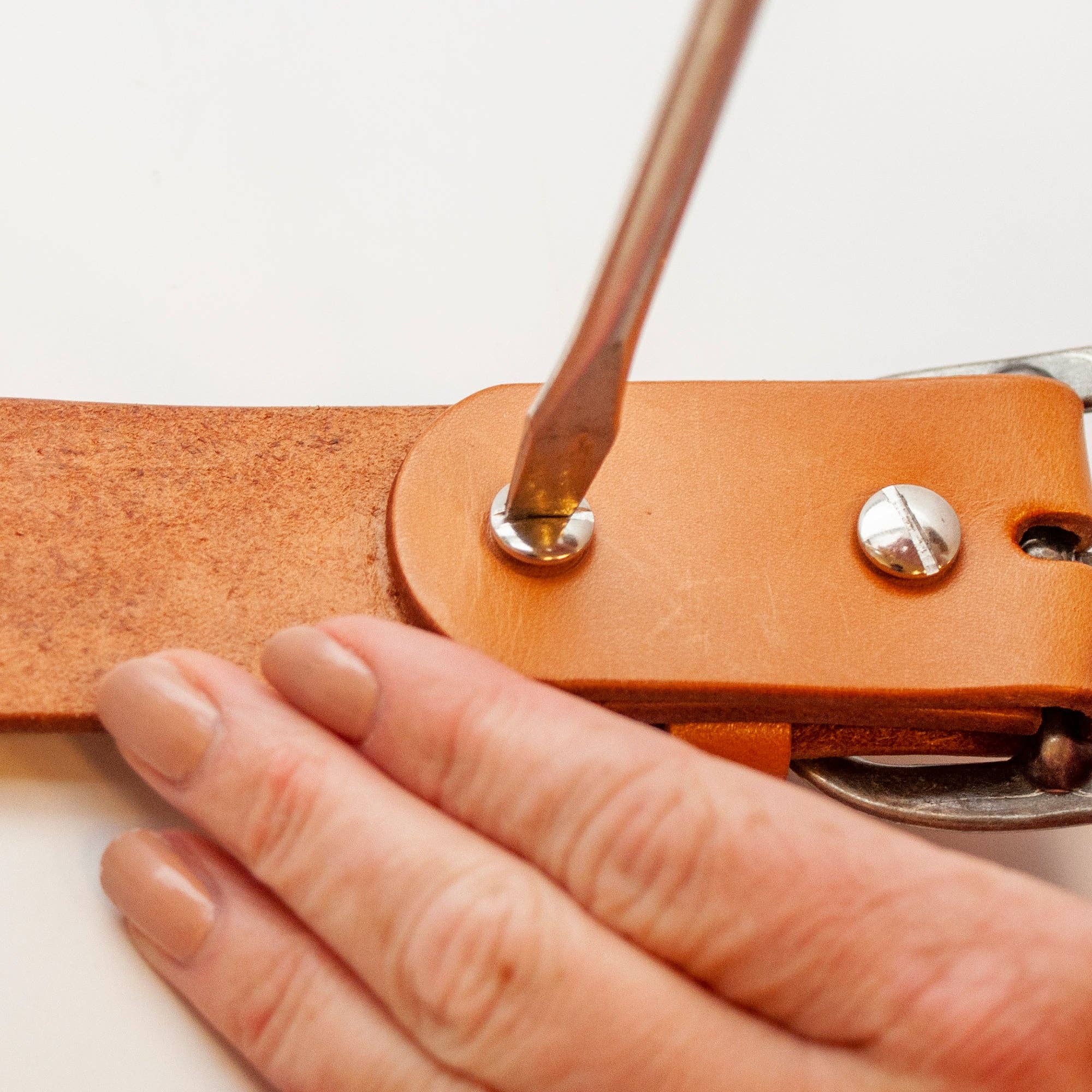 Nichel Viti Chicago, confezione da 8 in vendita all'ingrosso su Faire2