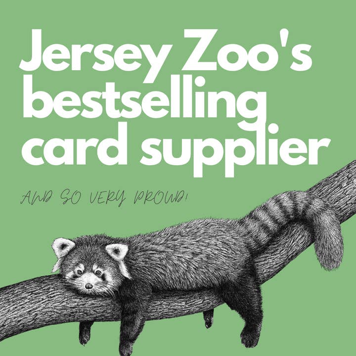 Wild Lines - Wholesale Birthday card - Pwnblwydd Hatypus // Funny Welsh Birthday Card 9