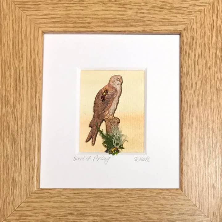 Imagen en caja pequeña de Bird of Prey para venta al por mayor de Truly Trossachs