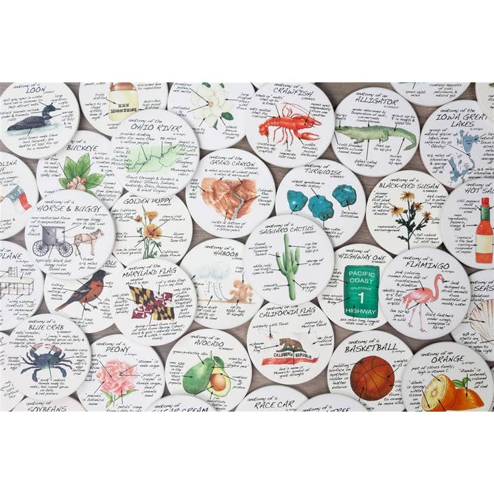 Dishique - Wholesale Coasters - Arizona Anatomy Coasters