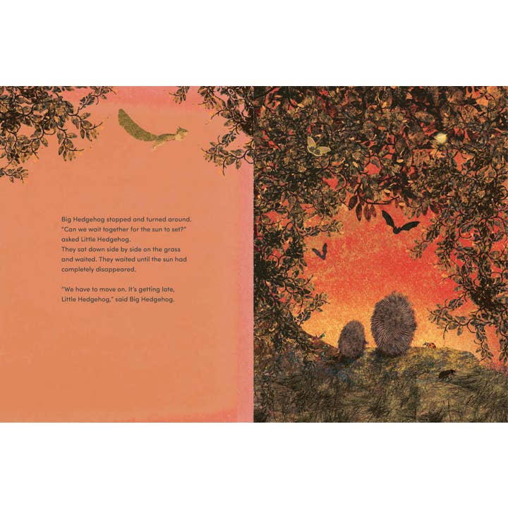 Penguin Random House LLC - Wholesale Preschool Book (3-5) - Big Hedgehog and Little Hedgehog Take an Evening Stroll1