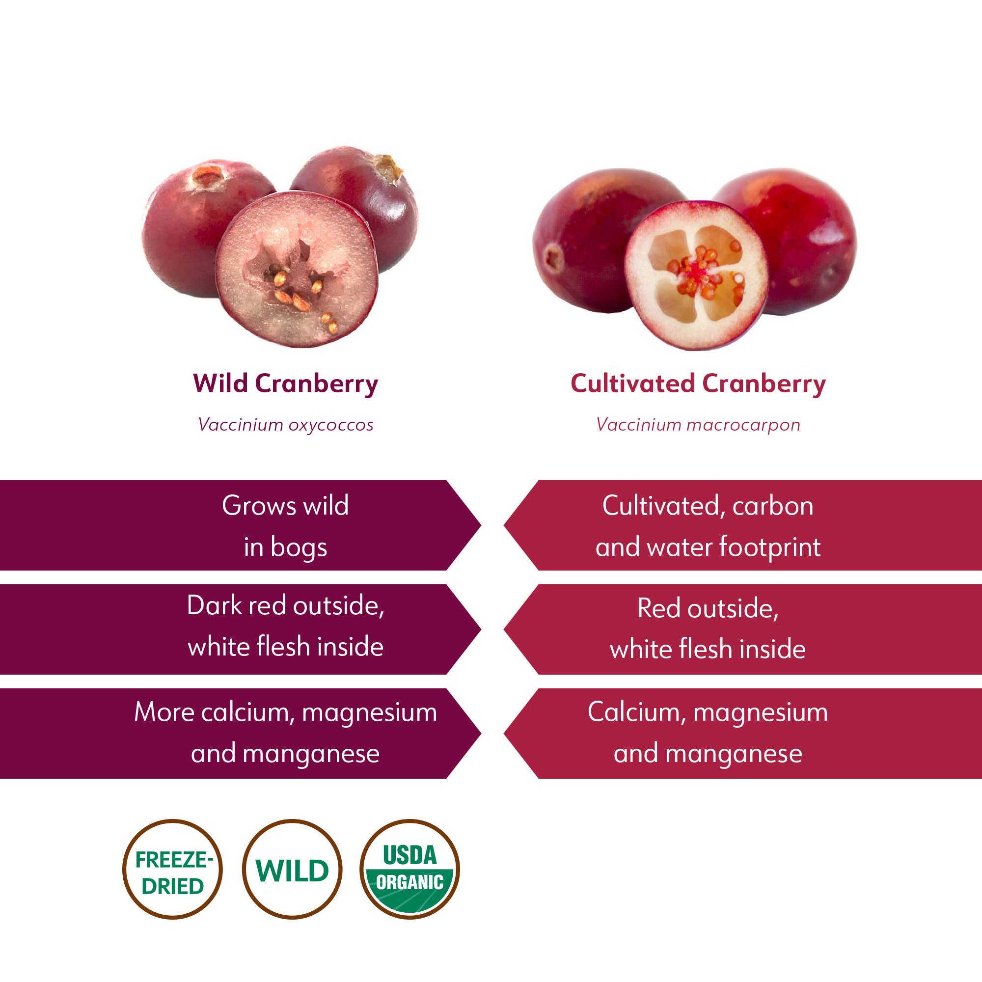 LOOV Organic Superfoods - Wholesale Protein/Superfood Powder - Freeze-Dried Organic Wild Cranberry Powder 3.2 oz6