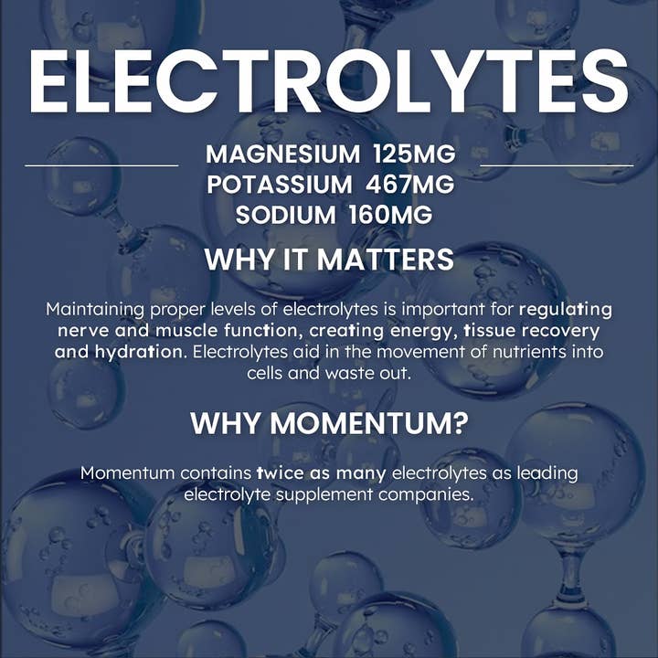 Momentum - Wholesale Protein/Superfood Powder - Longevity Protein Shake, Vanilla23