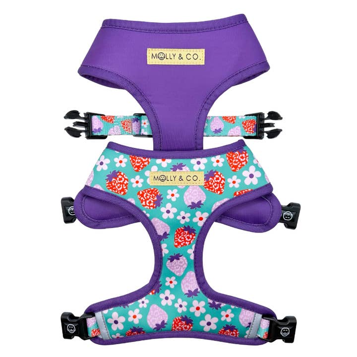 Arnés reversible para perro - Fresa para venta al por mayor de Molly & Co.
