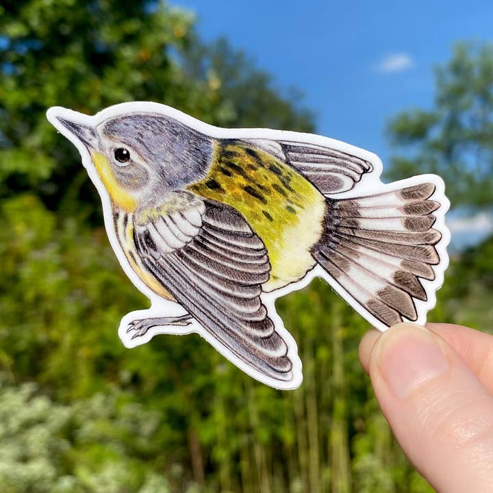 Magnolia Warbler Weatherproof Vinyl Sticker for wholesale by Allison Stoiser Art