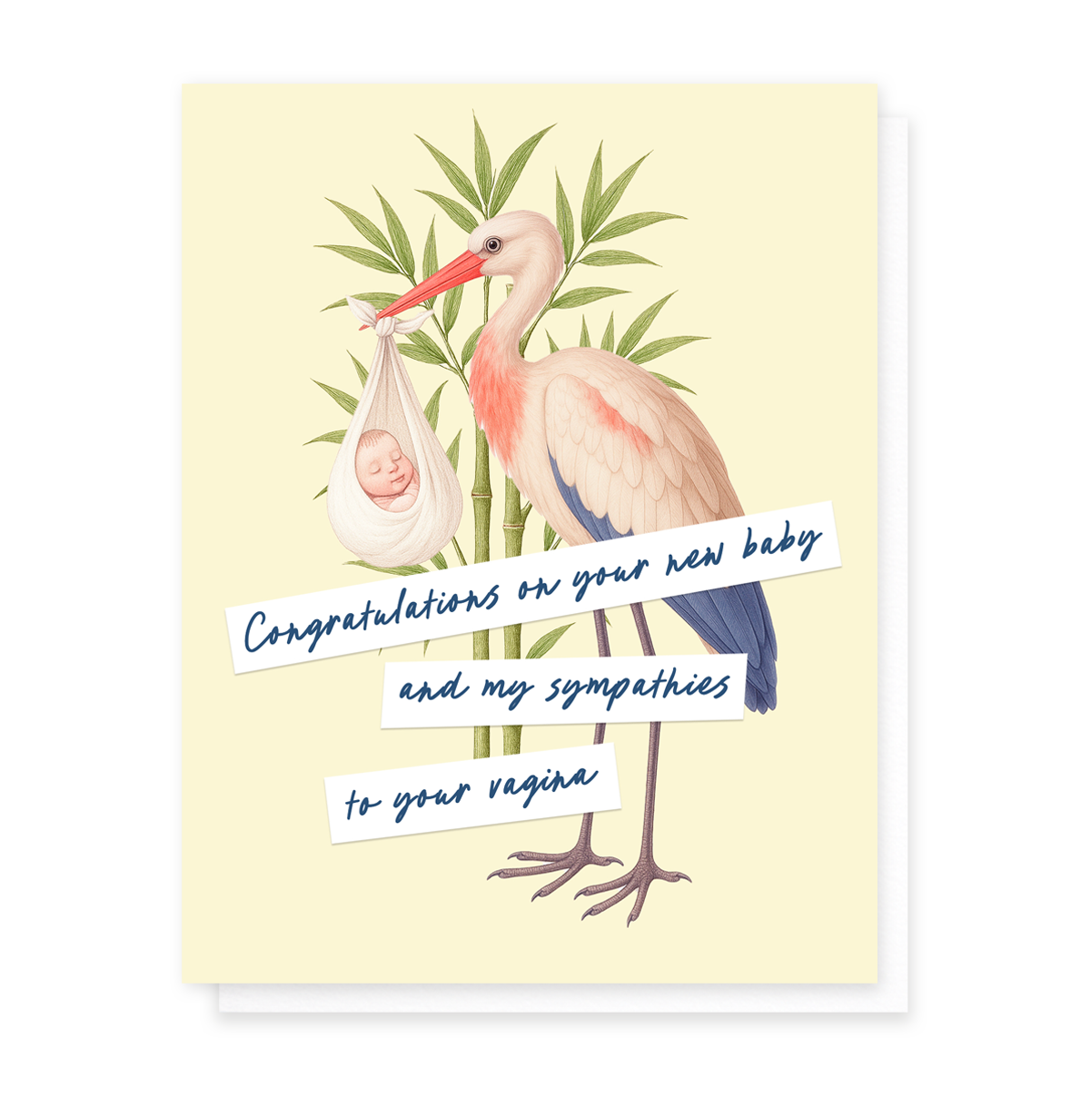 Cardideology - Wholesale Baby Card - Sympathies To Your Vagina0