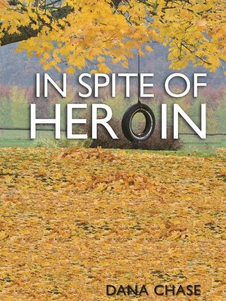 In Spite of Heroin - Hardcover for wholesale by Books by splitShops