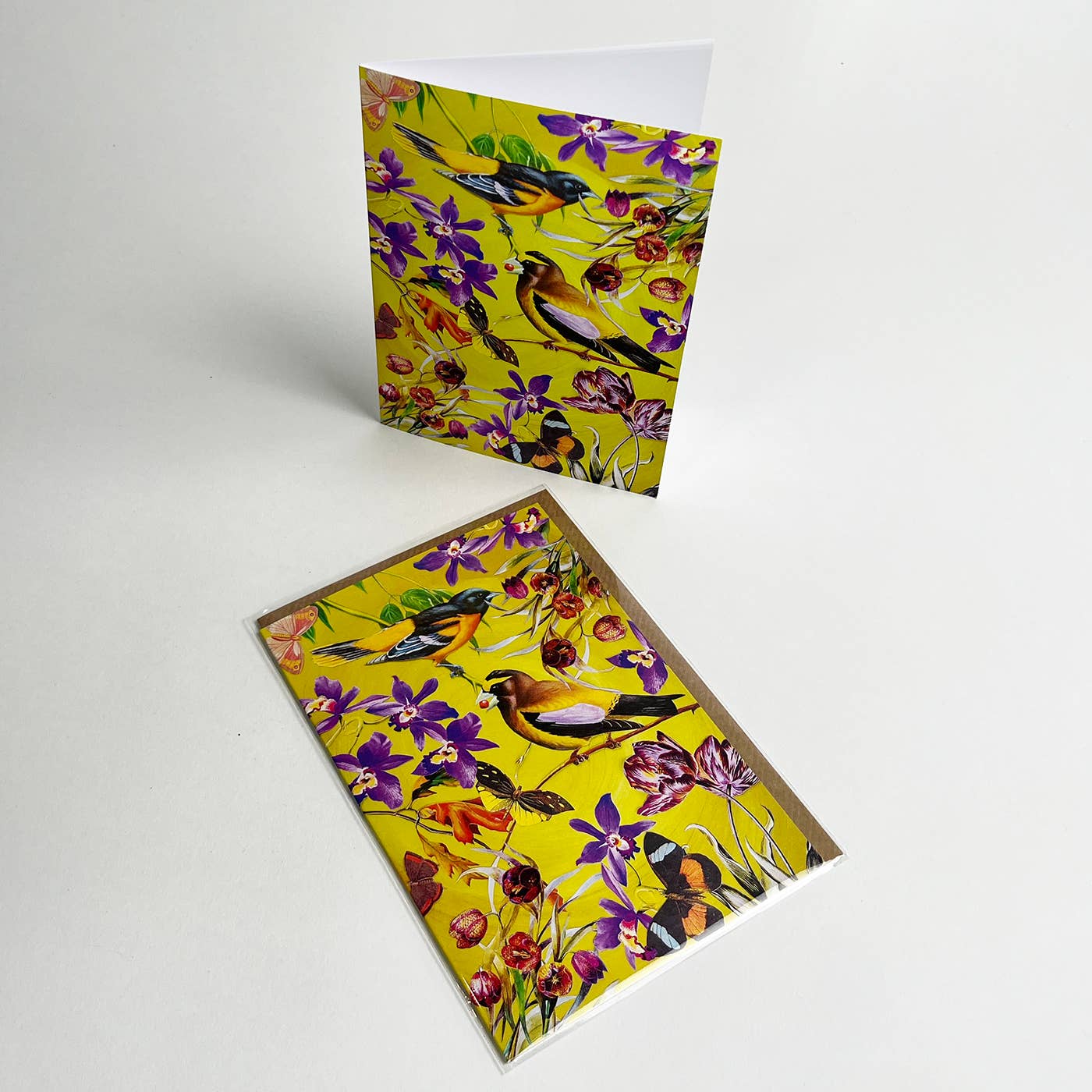 Diana Wilson Arcana - Vente Carte de vœux classique - Carte de vœux écologique pour tous les jours "Oiseaux d'automne"1