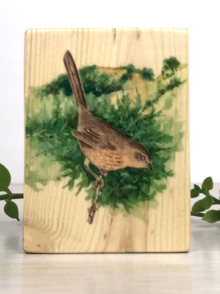Panel de madera Wrentit, Impresión en madera Wrentit, Arte de pájaros para venta al por mayor de Streetlightbirds