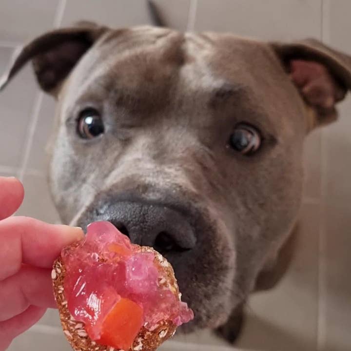 Meister Handelsmarken GmbH - Wholesale Pet Treats - Dog - DOG BREAD baking mix2