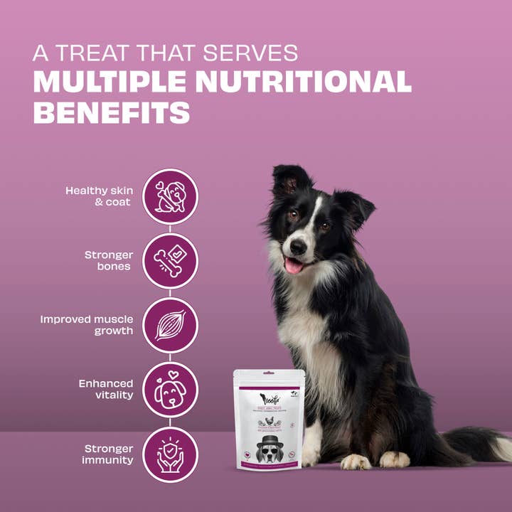 Pawfect Foods – wholesale Pet treats – Dog – Pawfect Woofur Chicken & Beetroot Jerky Treats for Dogs | Air-Dried | All-Natural | Grain-Free | Antioxidants for Heart Health & Vitality (50g/1.76oz)2