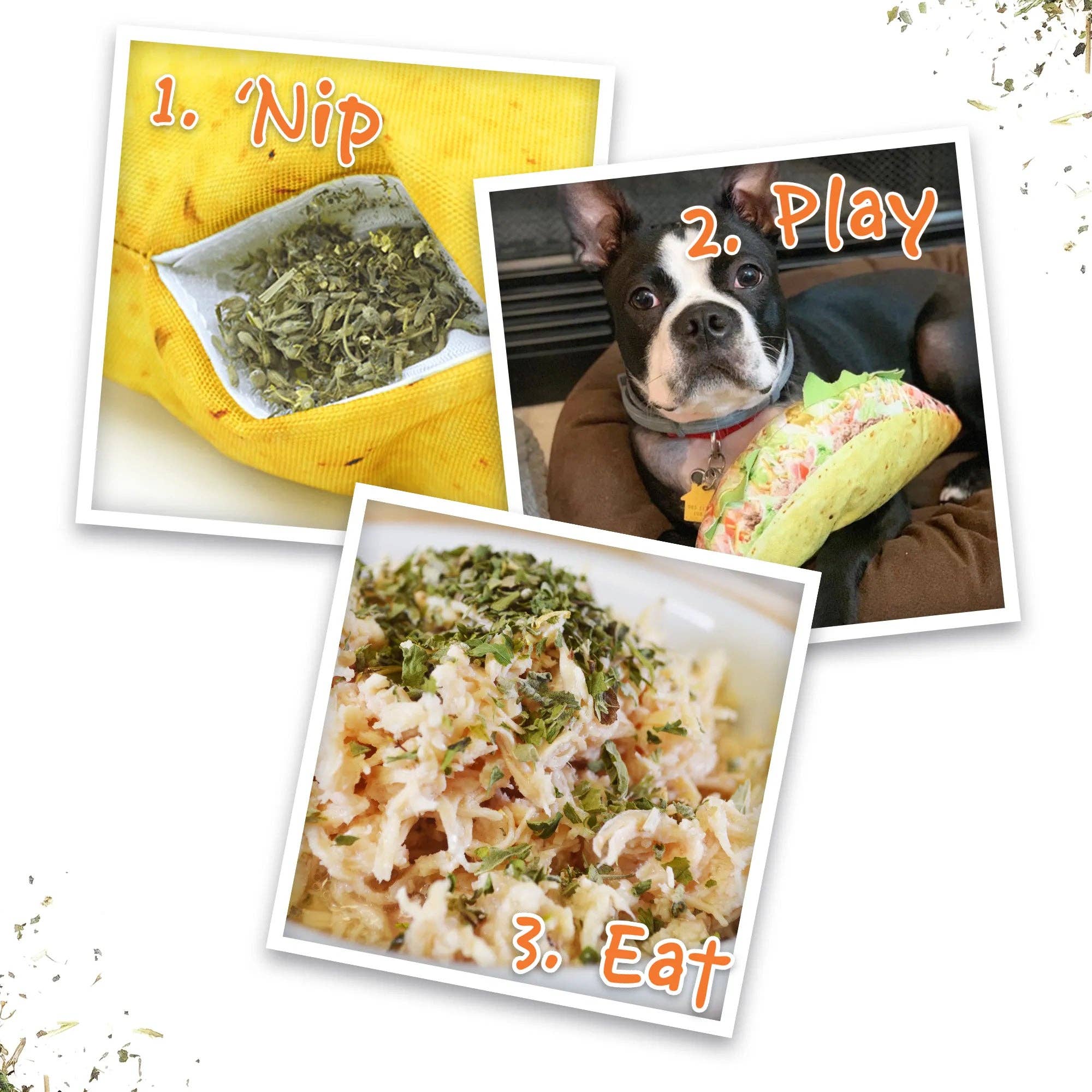 SmarterPaw | Meowijuana & Doggijuana – Großhandel Plüschtier – Hund – Doggijuana® Hol dir die Munchies Taco Nachfüllbares Hundespielzeug4