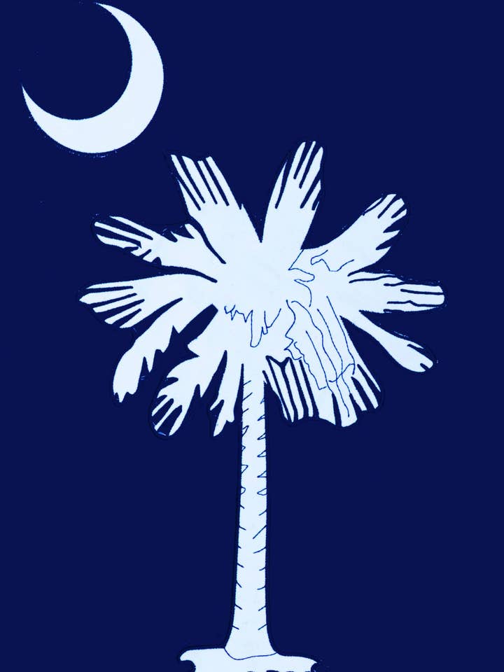Applique Flag-Palmetto - 28” x 40” for wholesale by Custom Decor