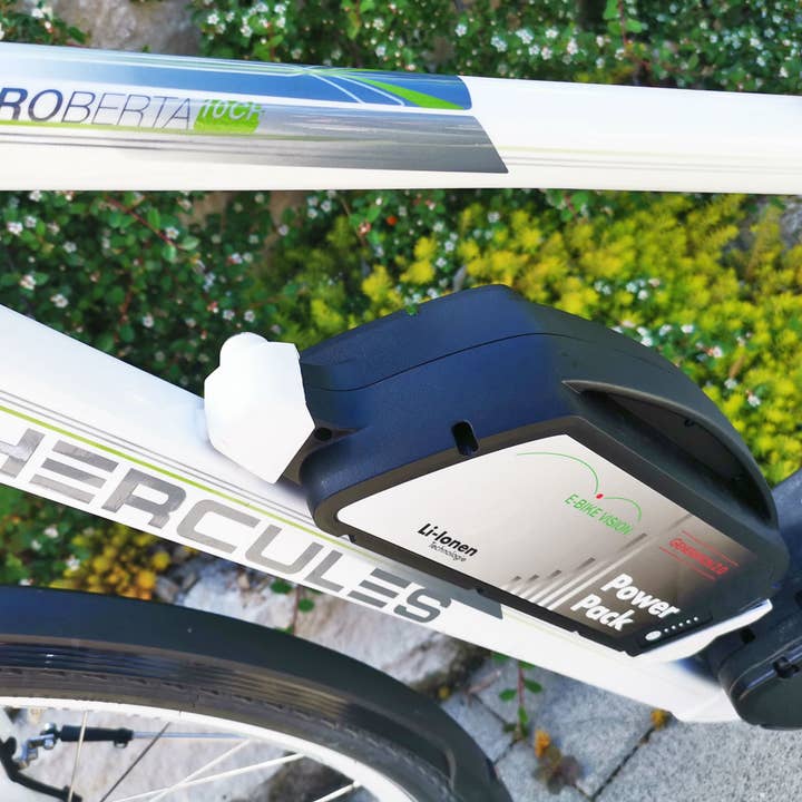 Triangel Distribution - Wholesale Car Decorative Charm - Unisex - Bosch Classic Line E-Bike Battery 36 Volt 17 Ah 612 Wh