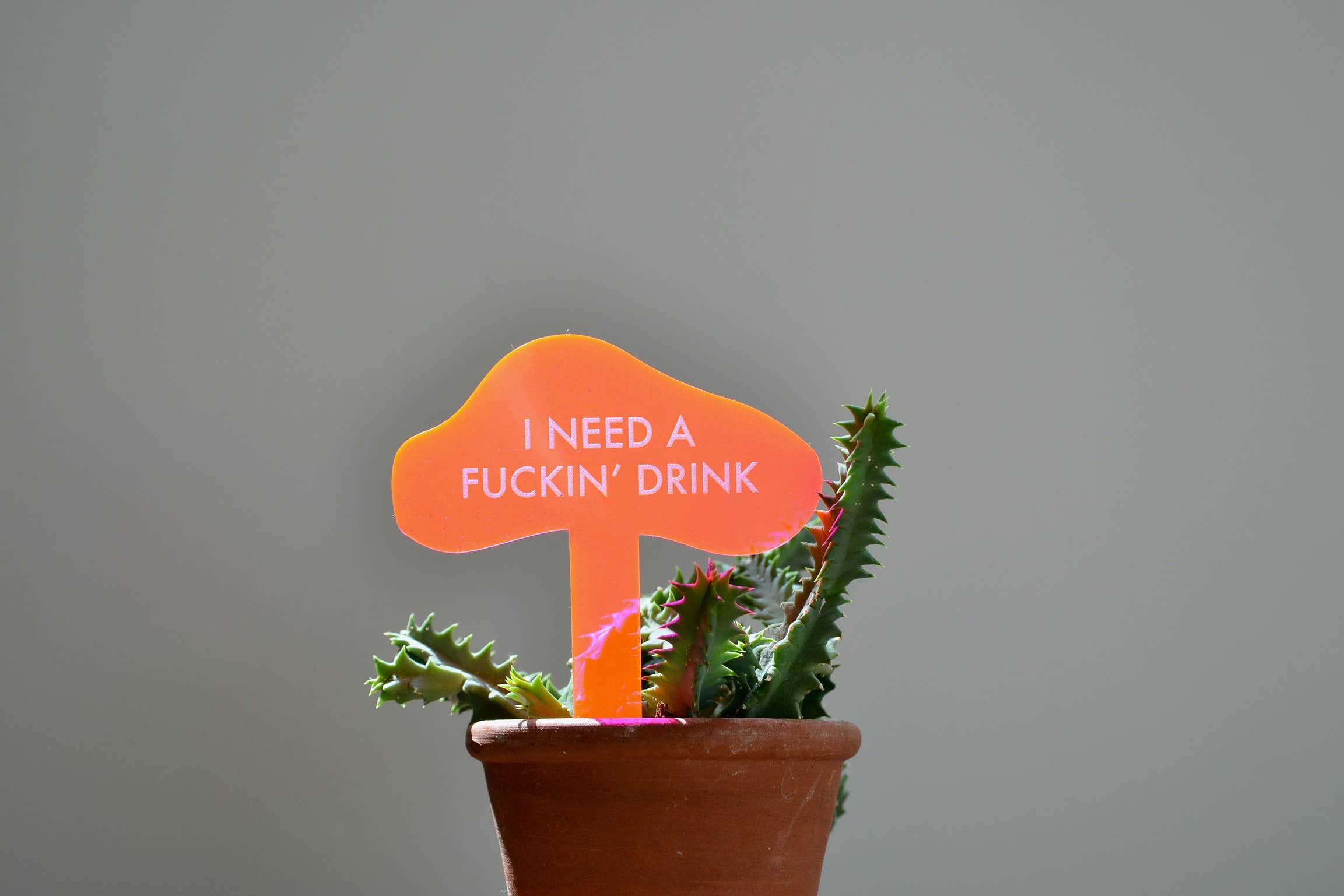Tuff Girl Gang - Wholesale Plant Pot - I NEED A FUCKIN' DRINK Neon Pink Plant Stake2
