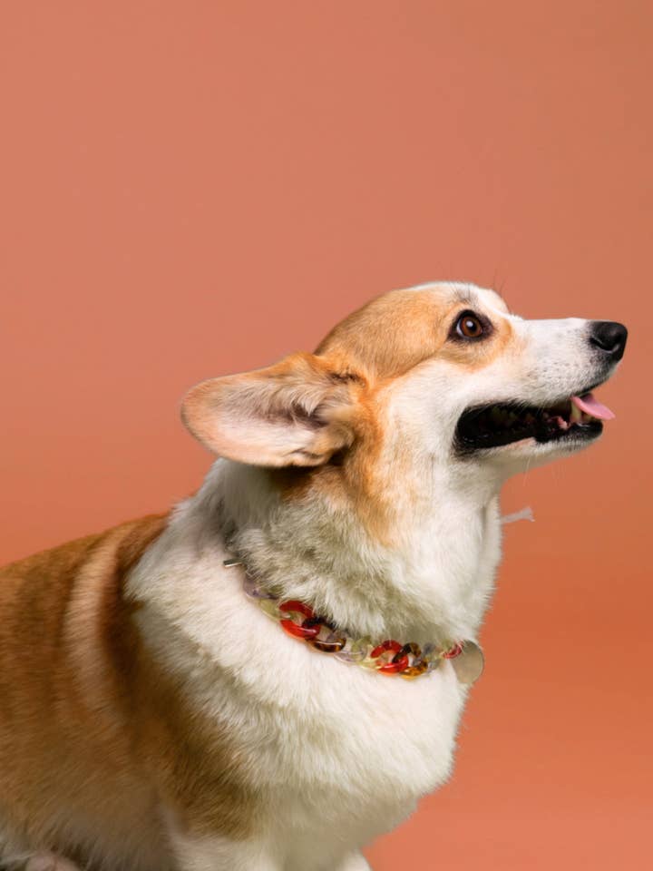 PANZERKETTE AUS HARZ für den Großhandel von BAND OF HEARTBREAKERS