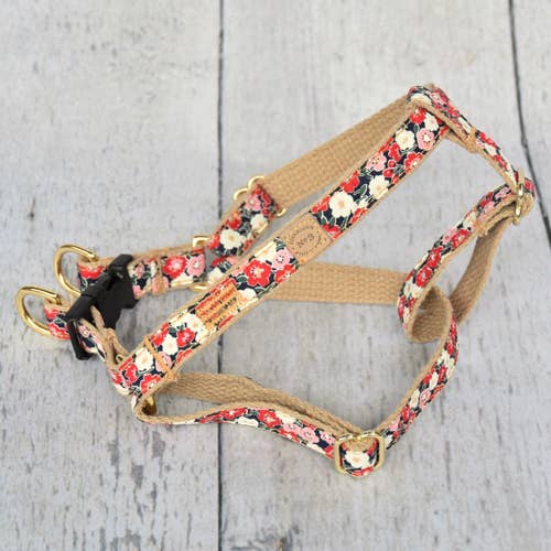 3/4 „Phoebe Floral Geschirr für den Großhandel von Finnegan’s Standard Goods