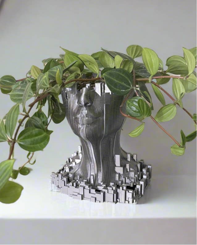 Genetic Designs – Großhandel Blumentopf – Gesichtslandschafts-Blumentopf mit Abtropfschale