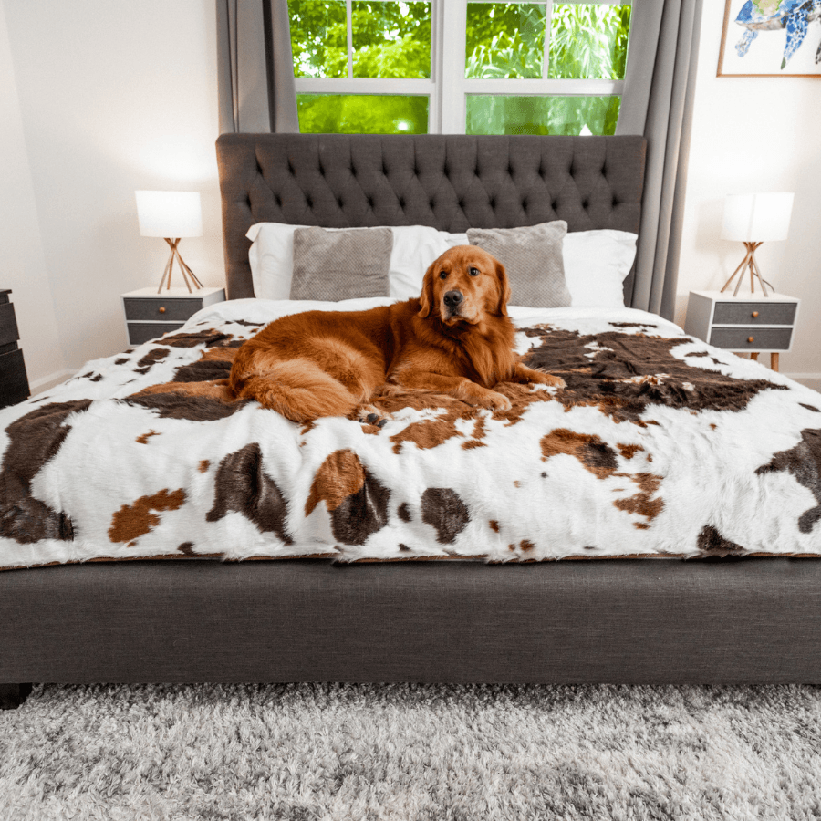 Paw Brands - Wholesale Pet Blanket - Dog - PupProtector™ Waterproof Throw Blanket - Brown Faux Cowhide5