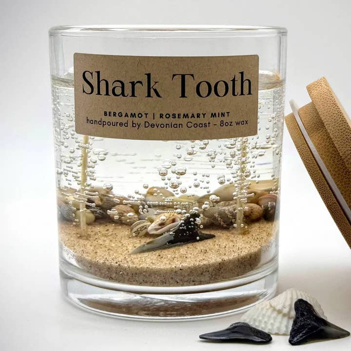 Shark Tooth Fossil Beach Gel Candle - Large 8oz Wax for wholesale by Devonian Coast