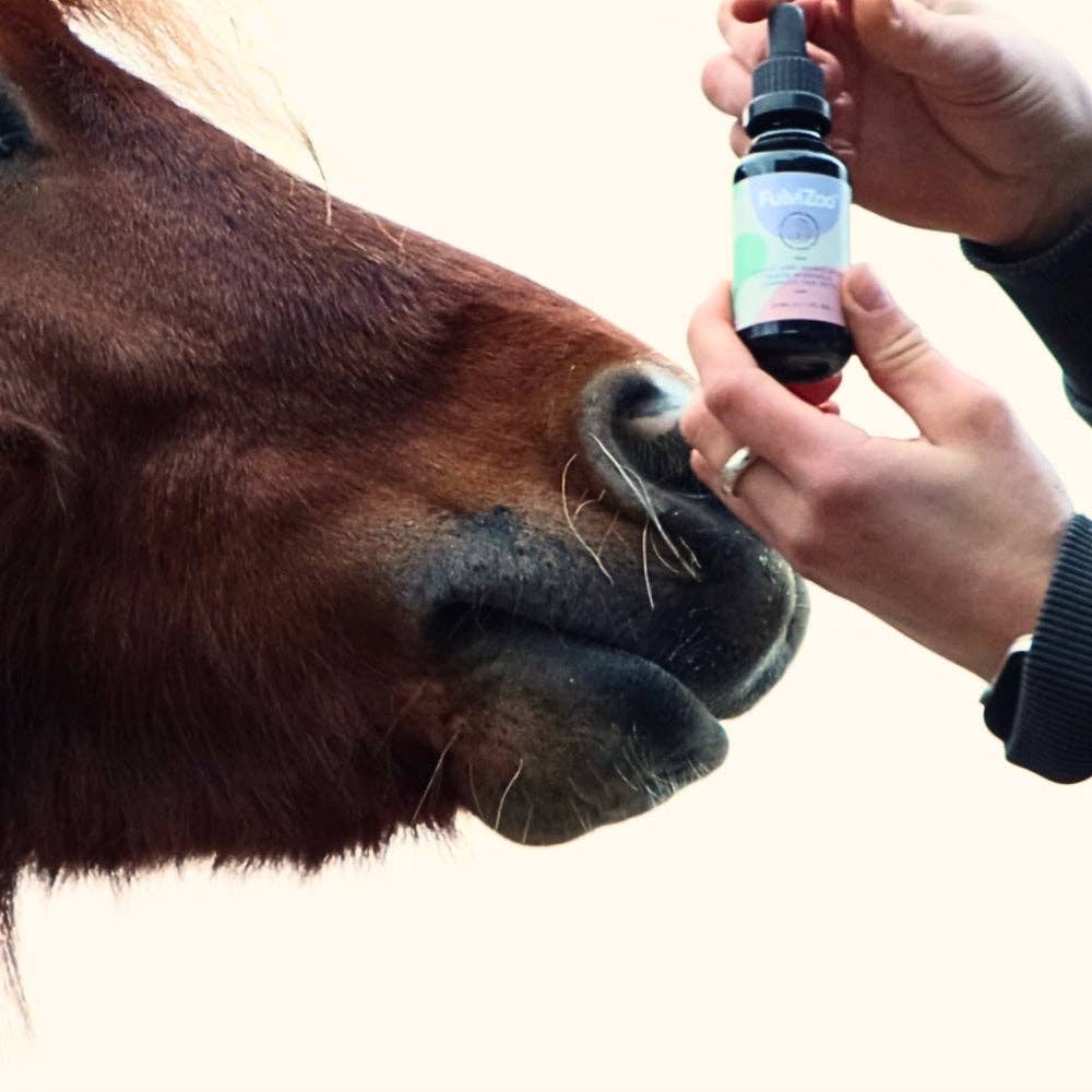 bionobo - Wholesale Pet Supplement - Not Cat/Dog - FulviZoo™ 30ml - Ácido fúlvico para mascotas18