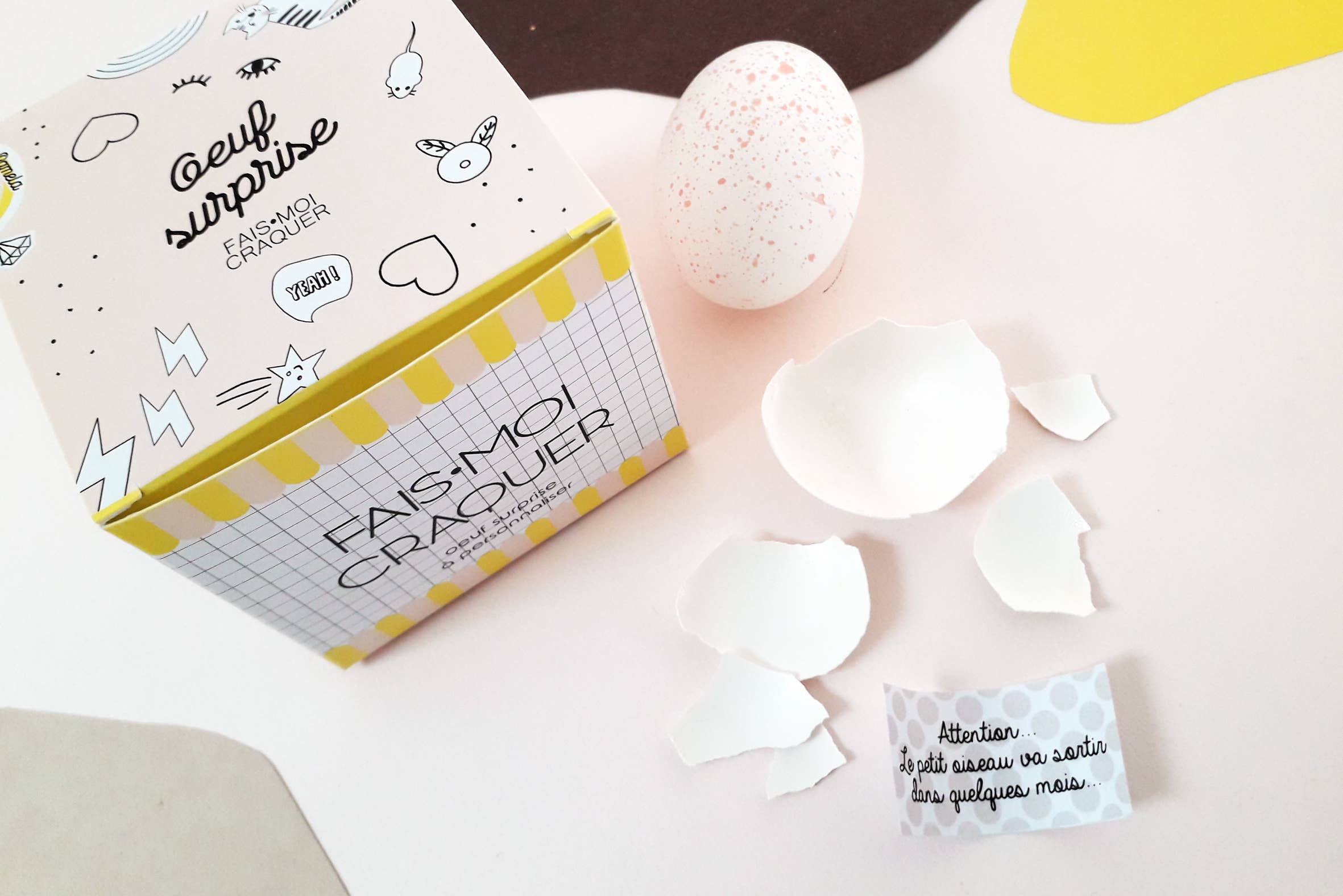 Pamela Loops - Wholesale Gag Gift/Novelty Gift - Oeuf message à craquer6