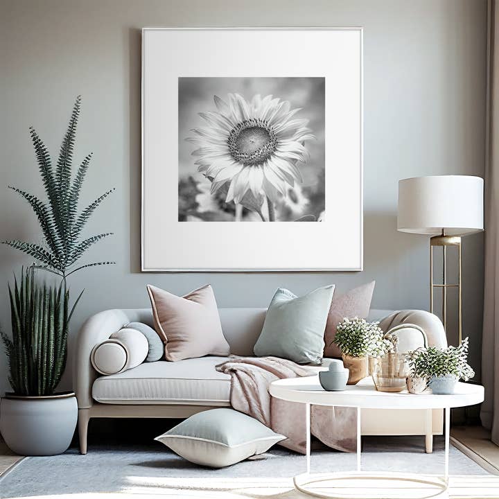 Fri Frakt Svart och vit singel solros, väggdekor för wholesale av Lisa Herigon Photography