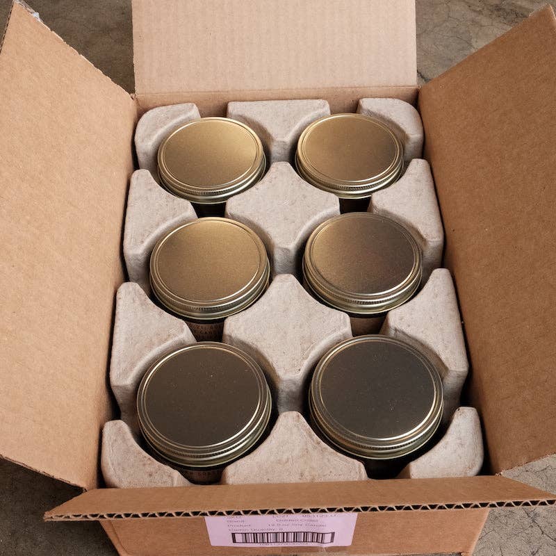 P.F. Candle Co. - Wholesale Jar/Filled Candle - Amber & Moss - Large Concentrated Candle6