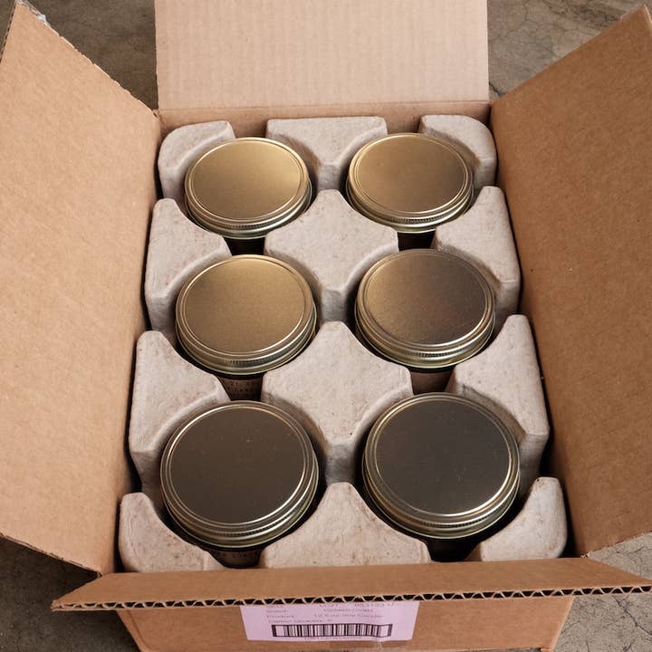 P.F. Candle Co. - Wholesale Jar/filled candle - Amber & Moss - Large Concentrated Candle6