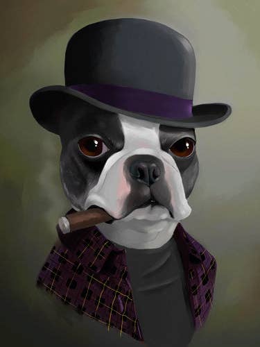Boston Terrier gift / The Bowler Hat - Boston Terrier Art for wholesale by Brian Rubenacker studios