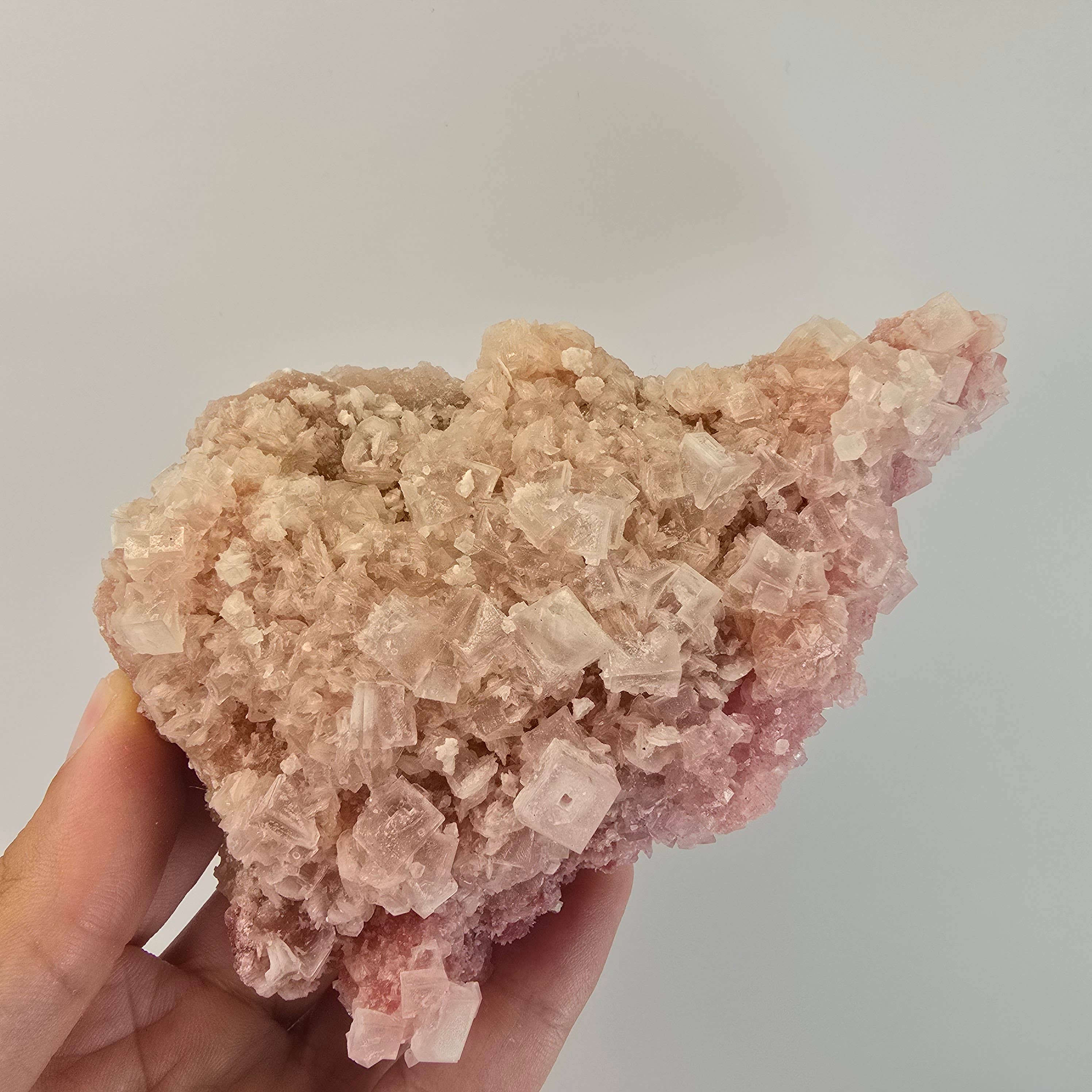 Aquamarine Daydream Wholesale - Wholesale Spiritual Stone/Crystal - 6pc Pink Halite ~ Bulk Mineral Flats ~ Crystal Specimens #135