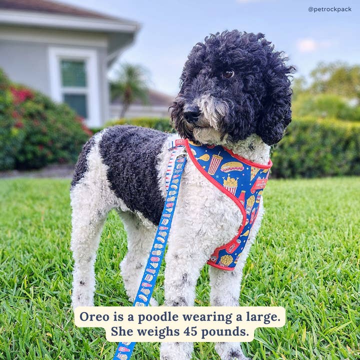 Lucy & Co. - Wholesale Pet Leash - Dog - Red, White & BBQ Leash2