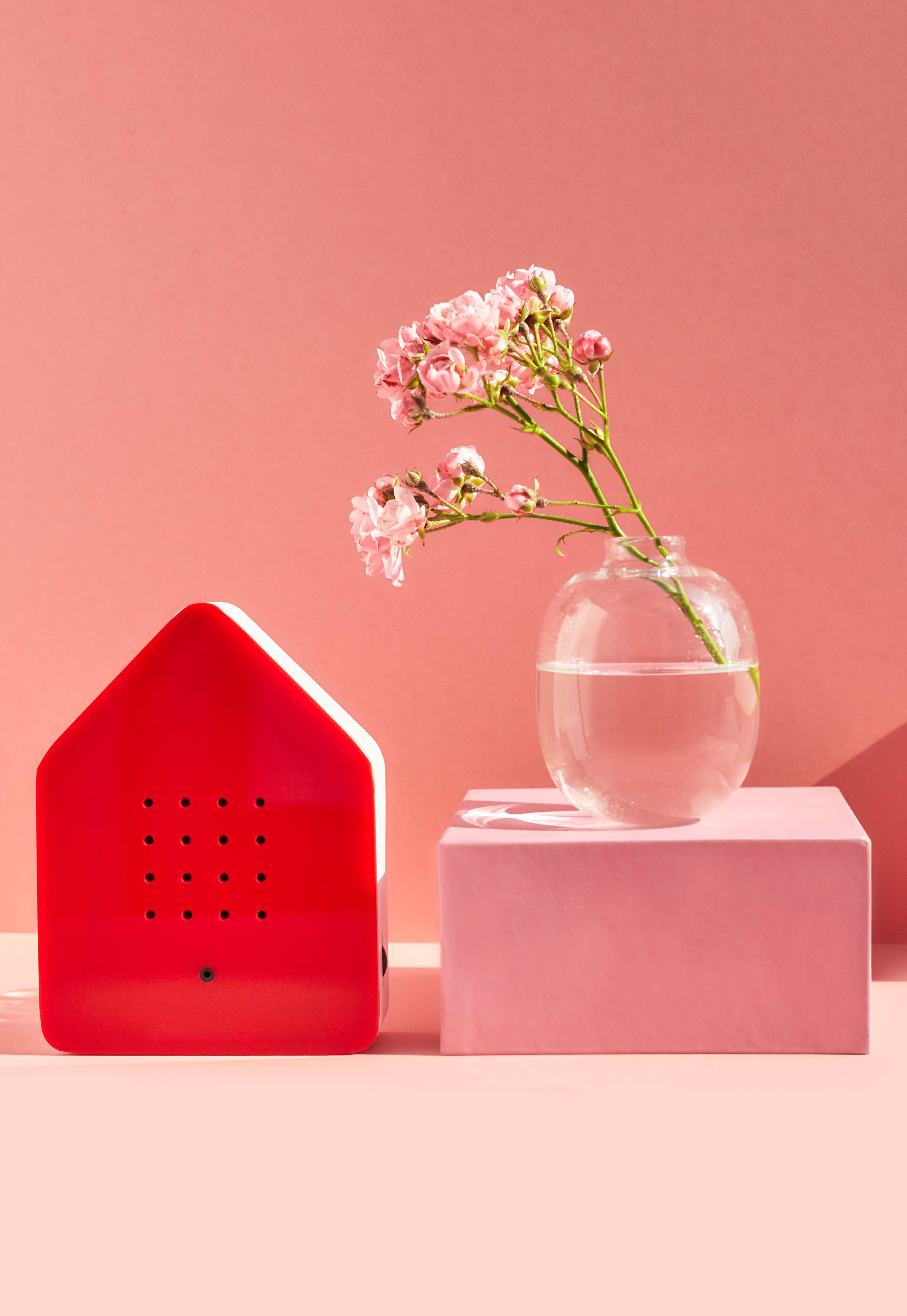 DM Brands Ltd – wholesale Music accessory – Zwitscherbox – Bird Song Sound Box | Red0