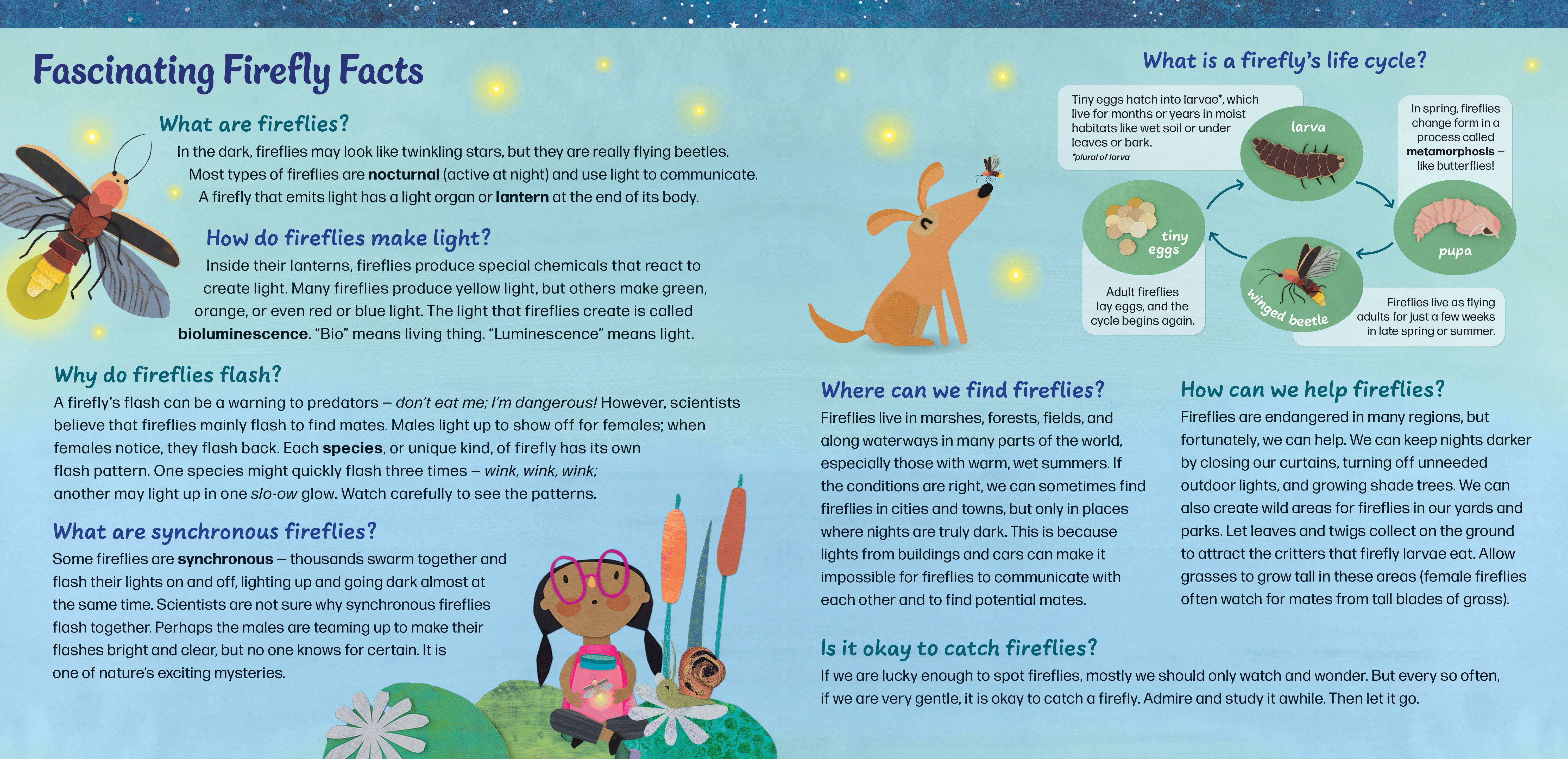 Barefoot Books - Wholesale Preschool Book (3-5) - Firefly Galaxy4