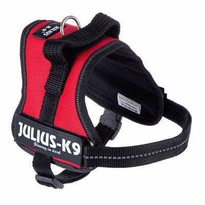 JULIUS K9 Power Harnas Rood voor wholesale door SAS DISTRIDOG PRODOG & CO