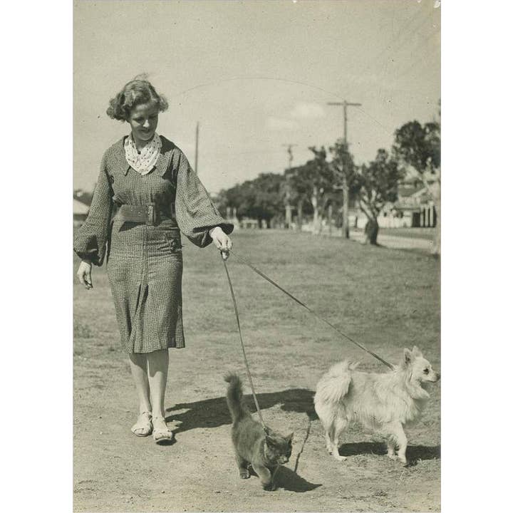 Walking The Dog And Cat, Queensland, Australia, C 1930's for wholesale by Retrospect Greeting Cards