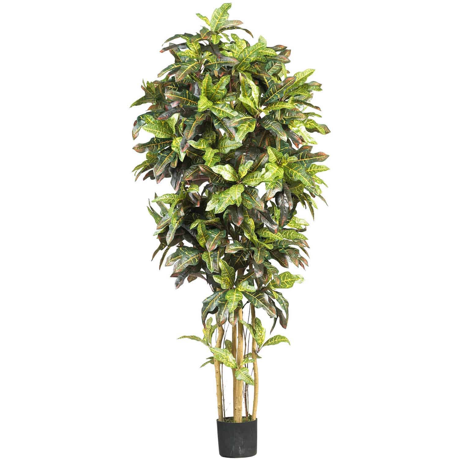 Silk Flower Depot - Wholesale Artificial Plant - 6' Croton Silk Tree0