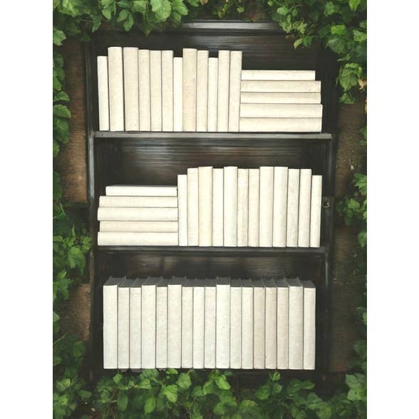 50 Vol. Natuurlijke Perkament Gebonden Ruggen. voor wholesale door BookStyled