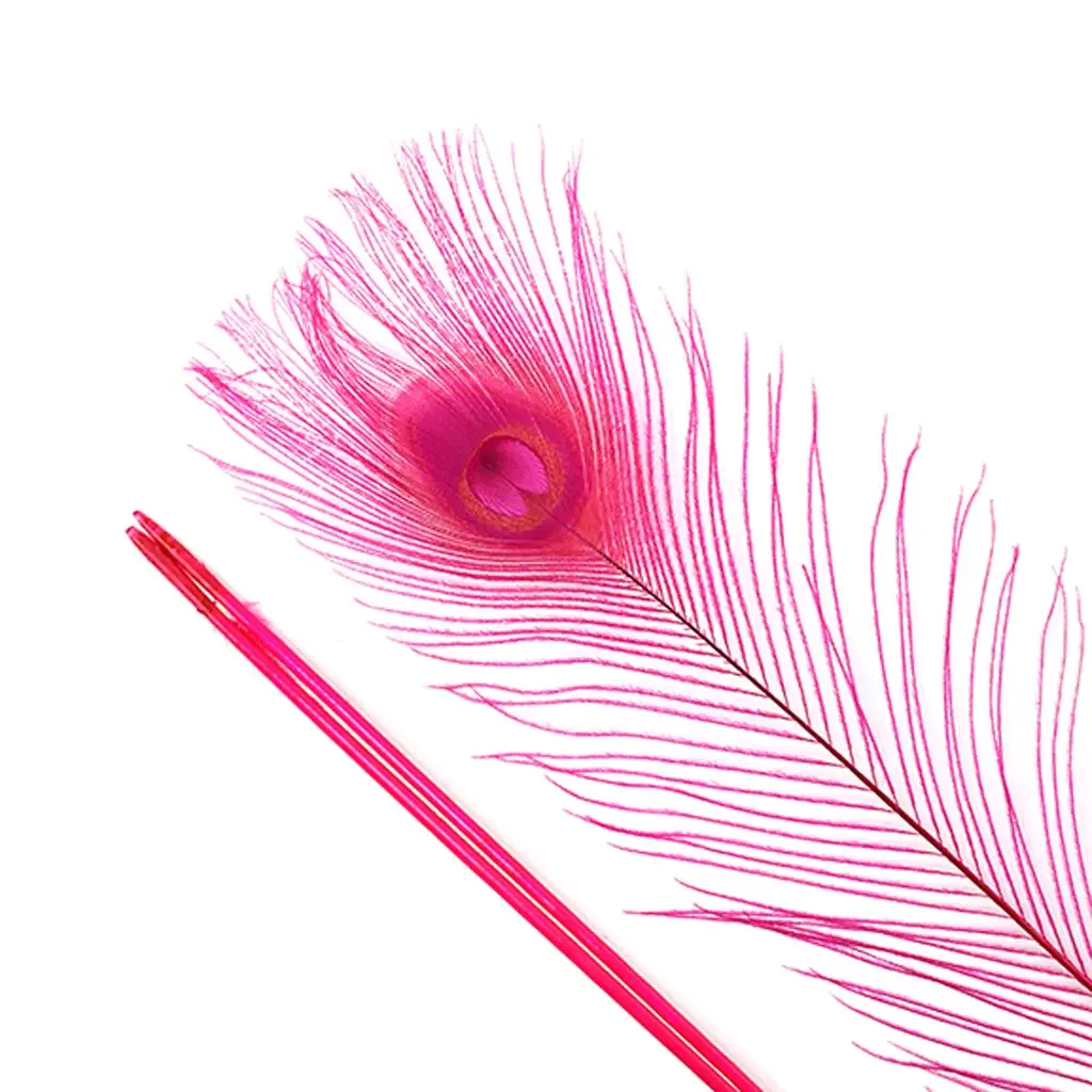 Zucker Feather Products – wholesale Craft supplies – Peacock Tail Eyes Bleached Dyed - Shocking Pink4